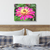 《植物》百日草鮮やか – ピンクとクリーム –  キャンバスプリント (インサイチュ (寝室))