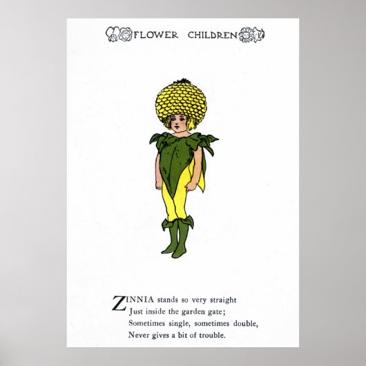 《植物》百日草 ポスター (正面)