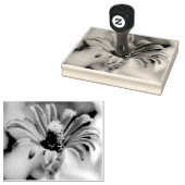 《植物》百日草 ラバースタンプ (押印)