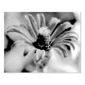 《植物》百日草 ラバースタンプ (インプリント)