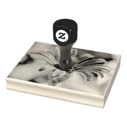 《植物》百日草 ラバースタンプ (スタンプ)