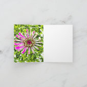 《植物》百日草BOXWOODフォトフローラノートカード ノートカード (内部)