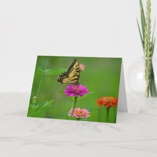 《植物》百日草Notecardの蝶 カード (正面)