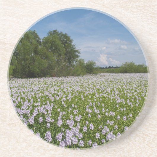 植物/花シリーズ – - – 池コースターの花 コースター (正面)