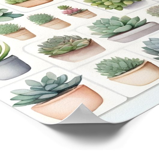 植物、野菜および多肉性イラストレーション モダン ポスター (角)