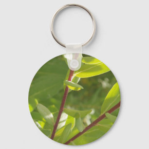 植物Keychain キーホルダー
