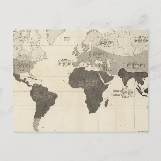 植生の地理的分布 ポストカード (正面)