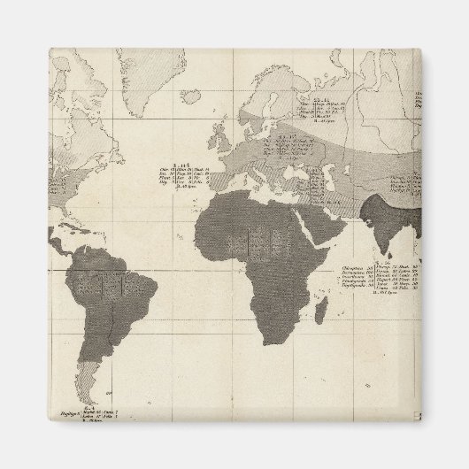 植生の地理的分布 マグネット (正面)