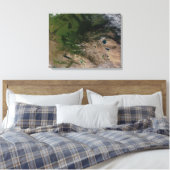 植生の変化 キャンバスプリント (インサイチュ (寝室))