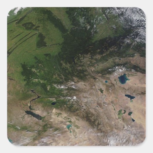 植生の変化 スクエアシール (正面)