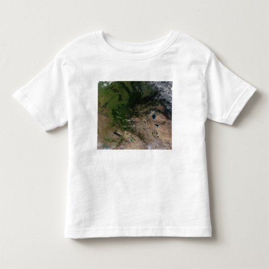植生の変化 トドラーTシャツ (正面)