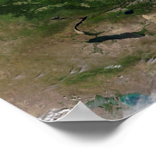 植生の変化 ポスター (角)