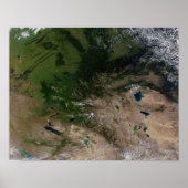 植生の変化 ポスター (正面)