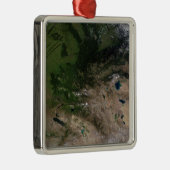 植生の変化 メタルオーナメント (右)