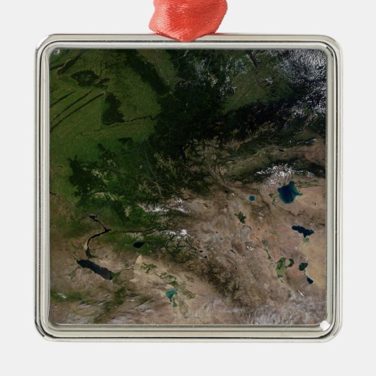 植生の変化 メタルオーナメント (正面)