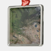 植生の変化 メタルオーナメント (左)