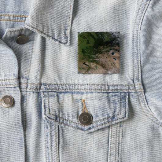 植生の変化 缶バッジ (インサイチュ)