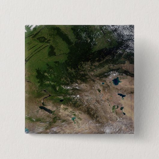 植生の変化 缶バッジ (正面)