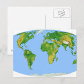 植生マップ4 ポストカード (正面/裏面)