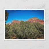 植生 ポストカード (正面)