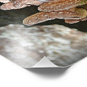 椎茸フォトプリント フォトプリント            (角)