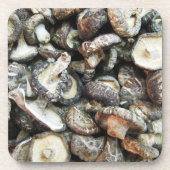 椎茸 コースター (正面)