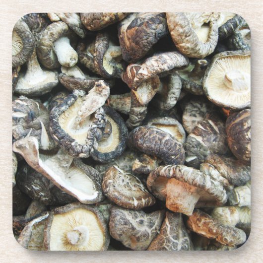 椎茸 コースター (正面)