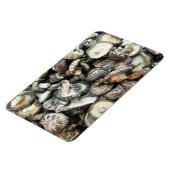 椎茸 マグネット (左側)