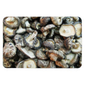 椎茸 マグネット (横)