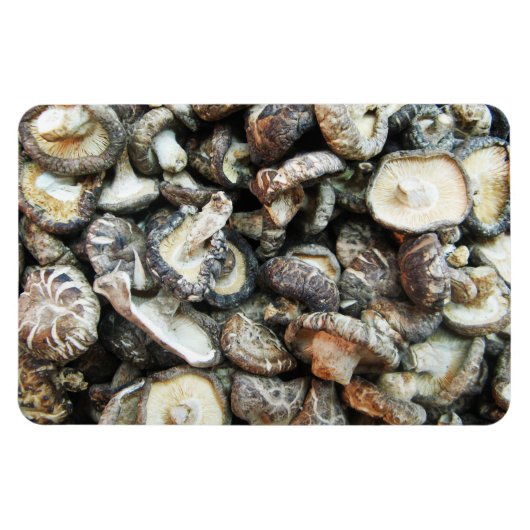 椎茸 マグネット (横)