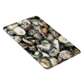 椎茸 マグネット (右側)