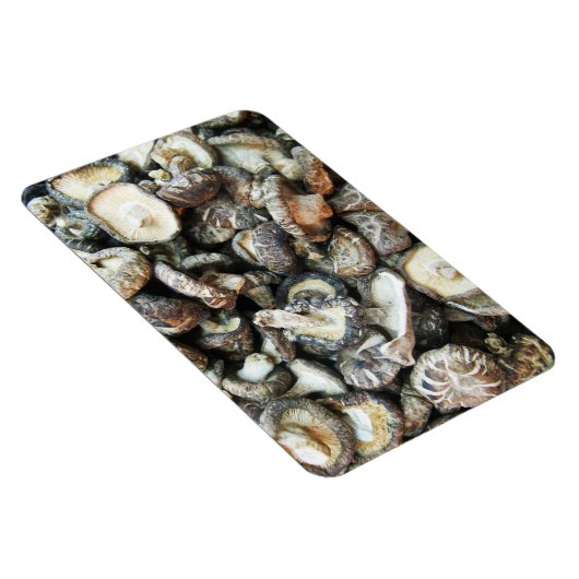 椎茸 マグネット (右側)