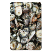 椎茸 マグネット (縦)