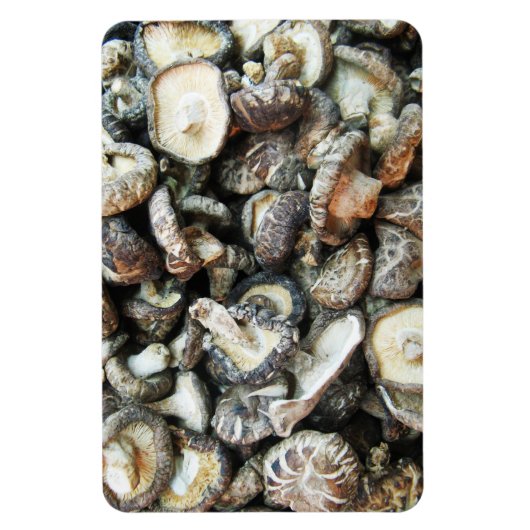 椎茸 マグネット (縦)