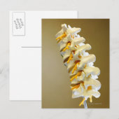 椎骨の医療モデルのクローズアップ ポストカード (正面/裏面)