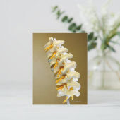 椎骨の医療モデルのクローズアップ ポストカード (スタンド正面)