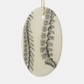 椎骨の引くこと セラミックオーナメント (右)