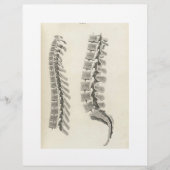 椎骨の引くこと チラシ (正面)