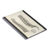 椎骨スケッチ ノートブック (右側)