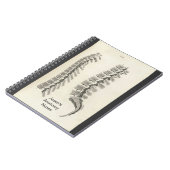 椎骨スケッチ ノートブック (左側)