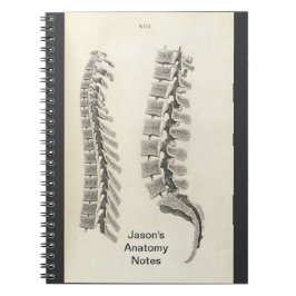 椎骨スケッチ ノートブック