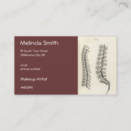 椎骨スケッチ 名刺