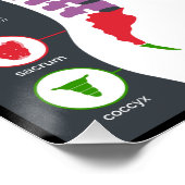 椎骨亜脱臼カイロプラクティックの効果 ポスター (コーナー)