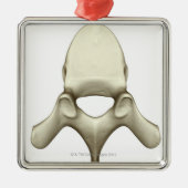 椎骨 メタルオーナメント (正面)