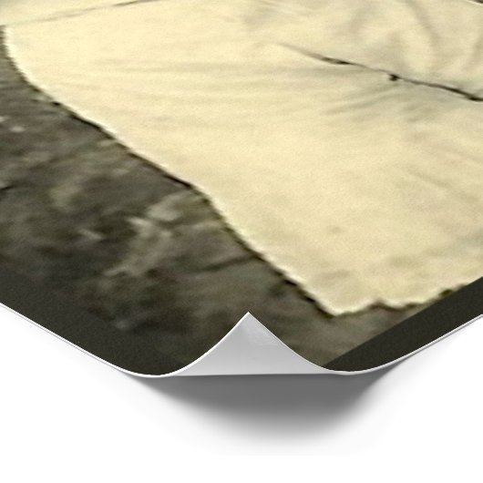 検査 ポスター (角)