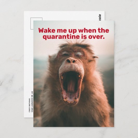 検疫おもしろいが終わったら起こしてくれ ポストカード (正面/裏面)