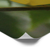 検索で ポスター (角)