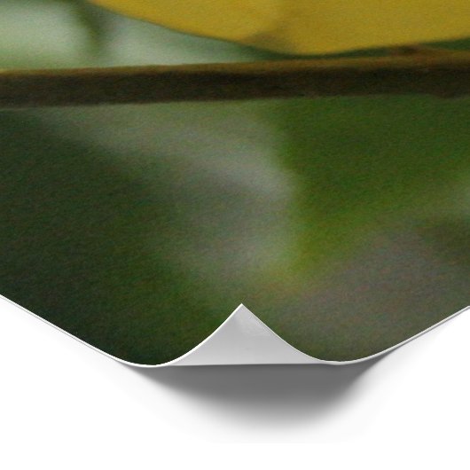 検索で ポスター (角)