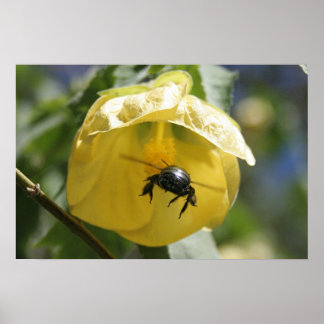 検索で ポスター