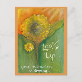 検索はがき ポストカード